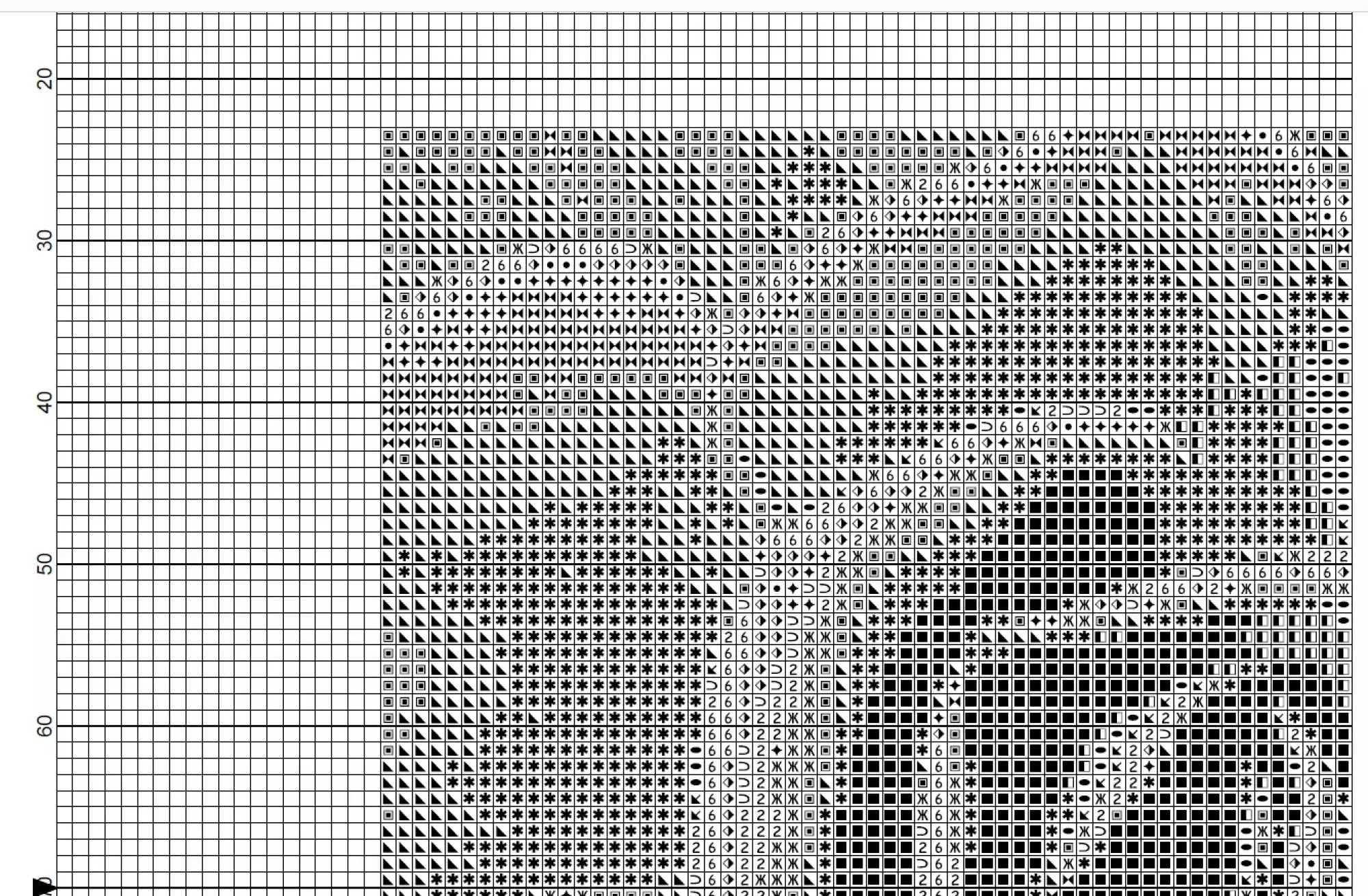 Point de croix succulente – Image 4