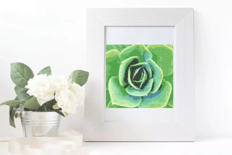 Point de croix succulente