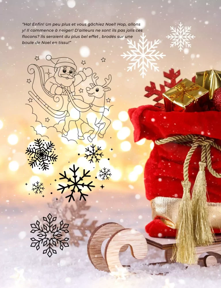 Carnet de broderie spécial Noel