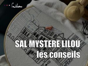 capture-SAL-Mystere-1er-conseils