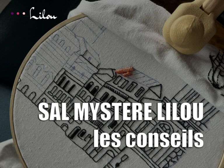 Les Premiers Conseils du SAL Mystère